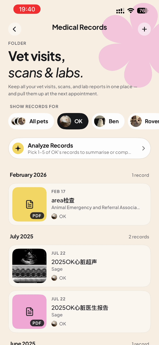 Floofy record review and saved history.